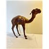 Image 1 : Camel