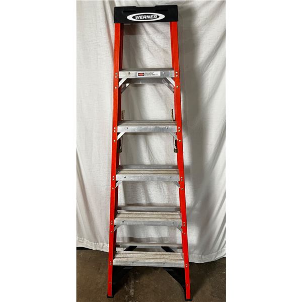 Werner 6' Ladder