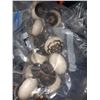 Image 10 : Container of Draw Knobs/Pullss Cat A