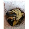 Image 8 : Assortment of Tie Down Straps Cat B