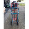 Image 3 : Hand Carts Cat A