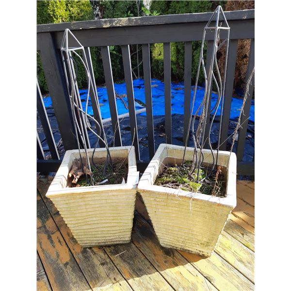 Outdoor Pots & Decor Cat B