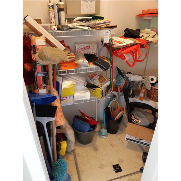 House Cleaning Cat A