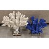 Image 1 : LOT OF 2 - DECORATIVE CORAL ON STANDS