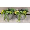 Image 1 : LOT OF 2 - DECORATIVE SUCCULENT WALL HANGERS