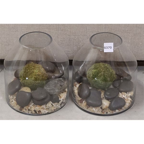 LOT OF 2 - DECORATIVE AIR PLANT TERRARIUMS