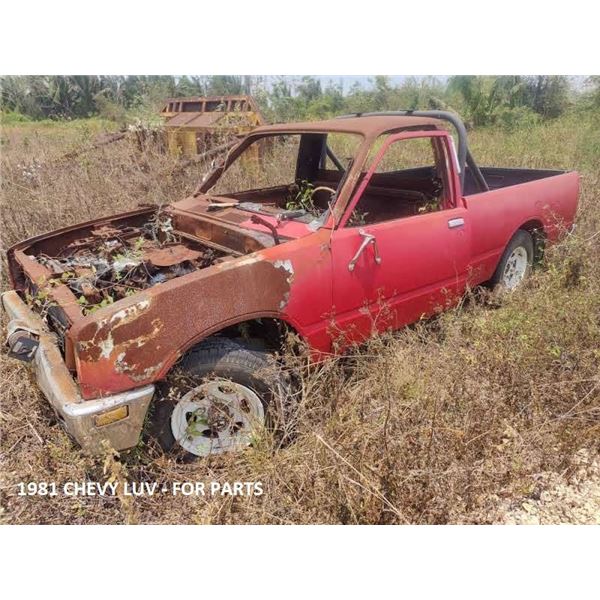 1981 Chevy Luv (for parts)