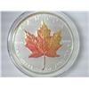 Image 1 : 1999 Canada $5 Silver Maple Leaf (Colorized)