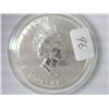 Image 2 : 1999 Canada $5 Silver Maple Leaf (Colorized)