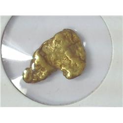 3.5 Gram Alaskan Gold Nugget