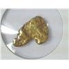 Image 1 : 3.5 Gram Alaskan Gold Nugget