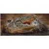 Image 1 : Limited Edition Giclee Titled “Jaws”, by Stéphane Alsac
