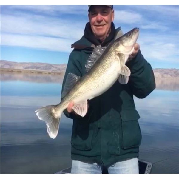 Boysen Reservoir Walleye Fishing