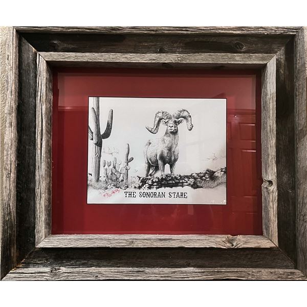 "The Sonoran Stare" stippled ink art print by Cody Tully