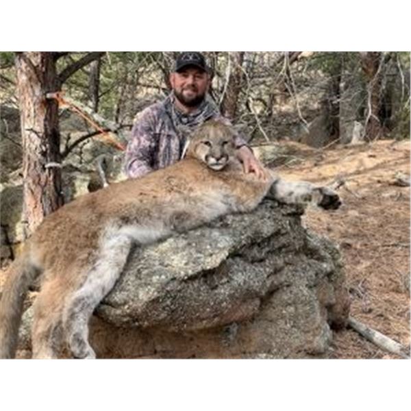 6 Day Wyoming Mountain Lion Hunt in WYO with Milliron TJ Outfitters