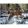 Image 5 : 6 Day Wyoming Mountain Lion Hunt in WYO with Milliron TJ Outfitters