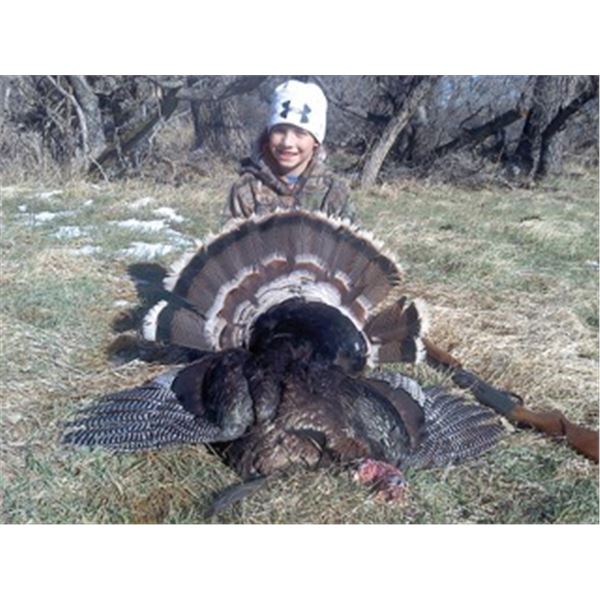 3 Day Wyoming Youth Turkey Hunt with Milliron TJ Outfitters