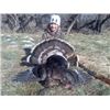 Image 1 : 3 Day Wyoming Youth Turkey Hunt with Milliron TJ Outfitters