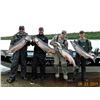 Image 3 : 6 Day/5 Night Alaska Salmon Fishing trip June 21-26 for TWO, 2024 with Anderson Outdoors.