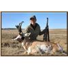 Image 1 : Wyoming 2023 Commissioner's license for Elk, Deer or Pronghorn donated by Commissioner, Gay Lynn Byr