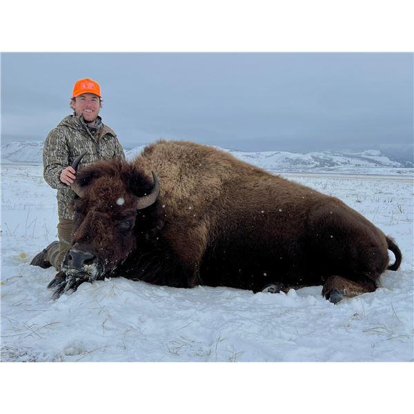 2023 Wyoming Governor's Bison Hunt