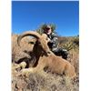 Image 1 : 2024 Aoudad hunt with Rowdy McBride in West Texas