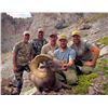 Image 3 : The 5th and Final 2023 Wyoming Governor's Bighorn Sheep License