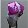 Image 2 : Natural 24 Carats Ruby Specimen on Matrix
