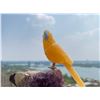 Image 2 : Natural Stone Handcarved Quartz Bird