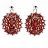 Image 1 : Natural Mozambique Garnet Earrings