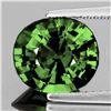 Image 1 : Natural Green Sapphire 1.30 Cts {VVS-VS}
