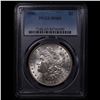 Image 2 : PCGS 1886-p Morgan Dollar $1 Graded ms65 By PCGS