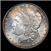 Image 2 : 1882-p Morgan Dollar $1 Grades GEM Unc