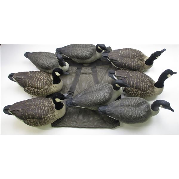 AVIAN X & CABELAS GEESE DECOYS