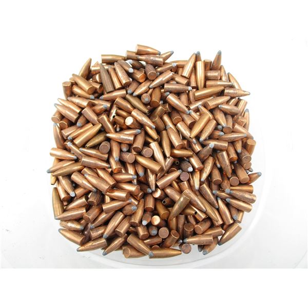 ASSORTED .22 CAL BULLETS LOT