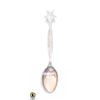 Image 1 : 1964-65 WASHINGTON FREEMASON EPNS SPOON