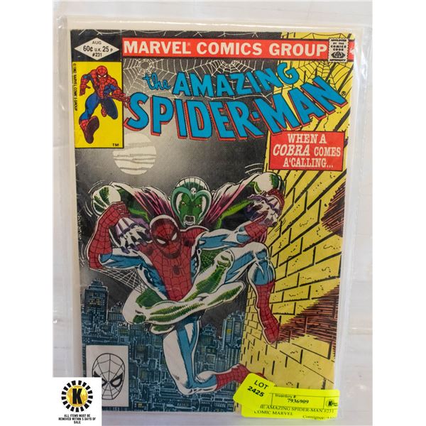 THE AMAZING SPIDER-MAN #231 COMIC MARVEL