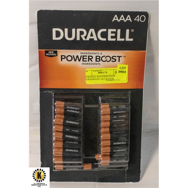 DURACELL BATTERIES WITH POWERBOOST AAA 40 PACK