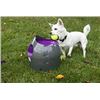 Image 2 : NEW REPACK PETSAFE AUTO BALL LAUNCHER WITH