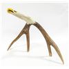 CARVED EAGLE HEAD ON DEER HORN