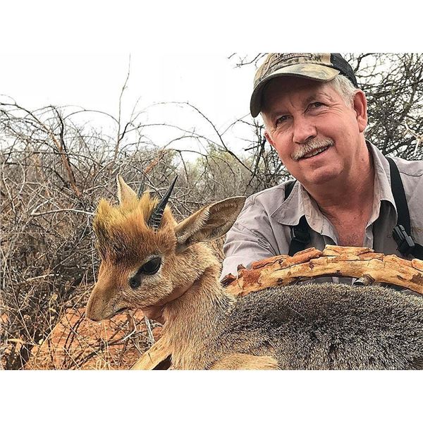 Damara Dik Dik and Eland Safari