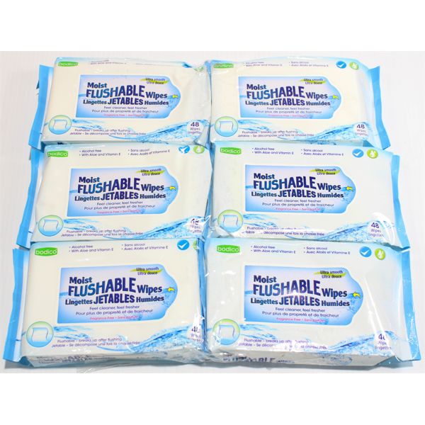 6 PACKS MOIST FLUSHABLE WIPES