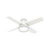 Image 1 : HUNTER INDOOR CEILING FAN