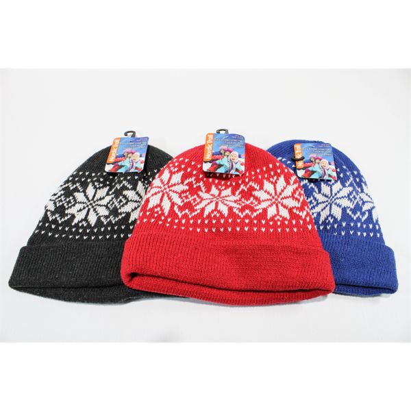 3 LINED TOQUES