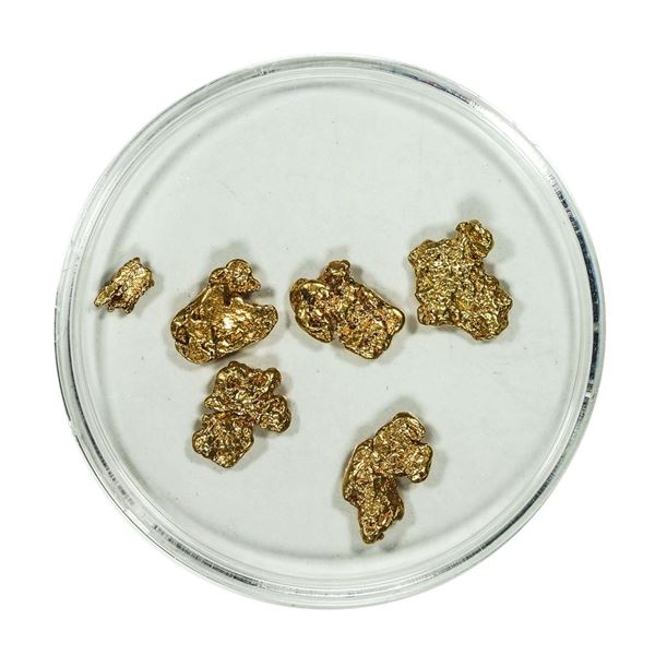 Lot of Gold Nuggets 3.20 Grams Total Weight
