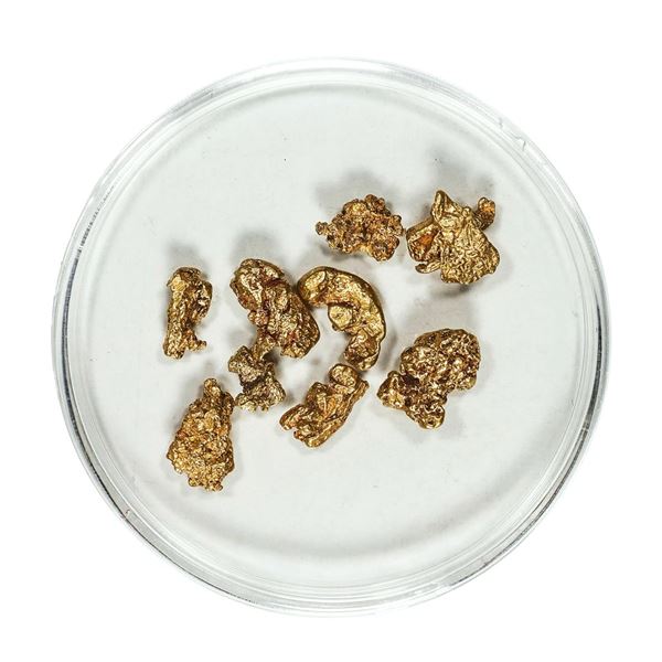 Gold Nuggets 3.87 Grams Total Weight