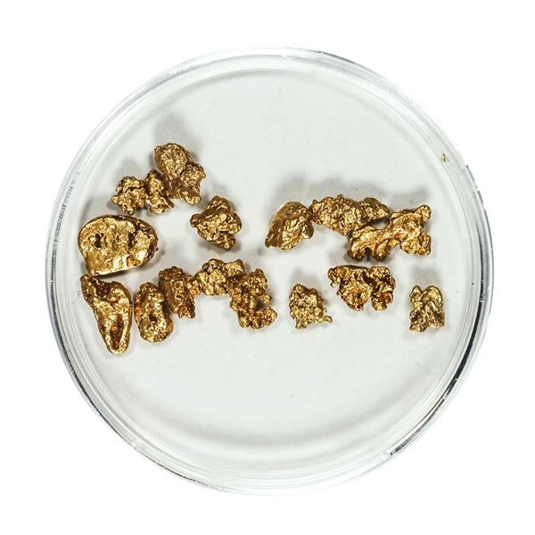 Gold Nuggets 4.36 Grams Total Weight