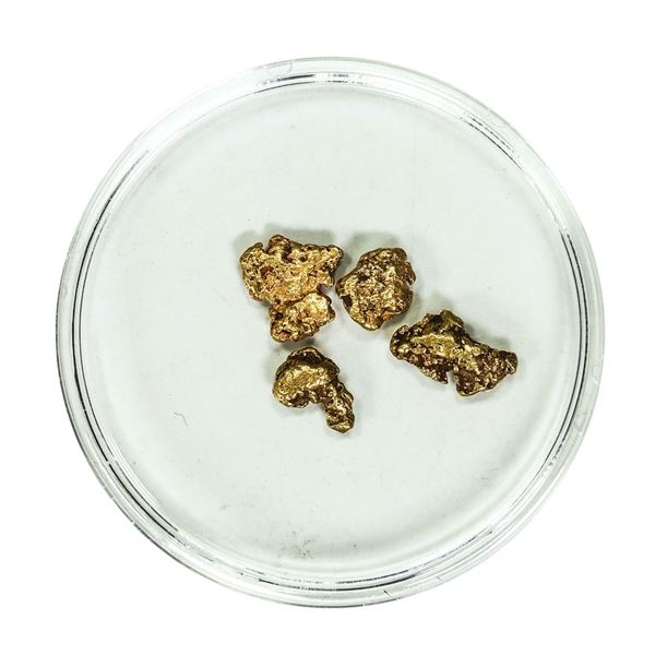 Lot of Gold Nuggets 2.27 grams Total Weight