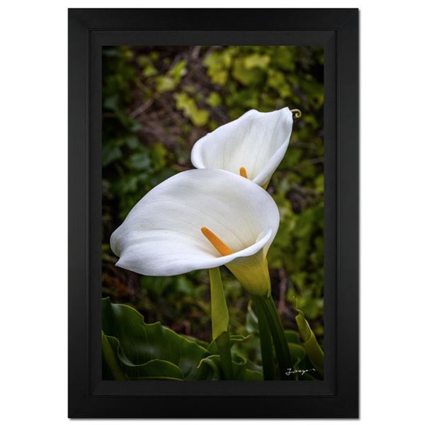 Jongas "Perfect Union" Limited Edition Giclee On Canvas