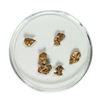Image 1 : Gold Nuggets 2.30 Grams Total Weight